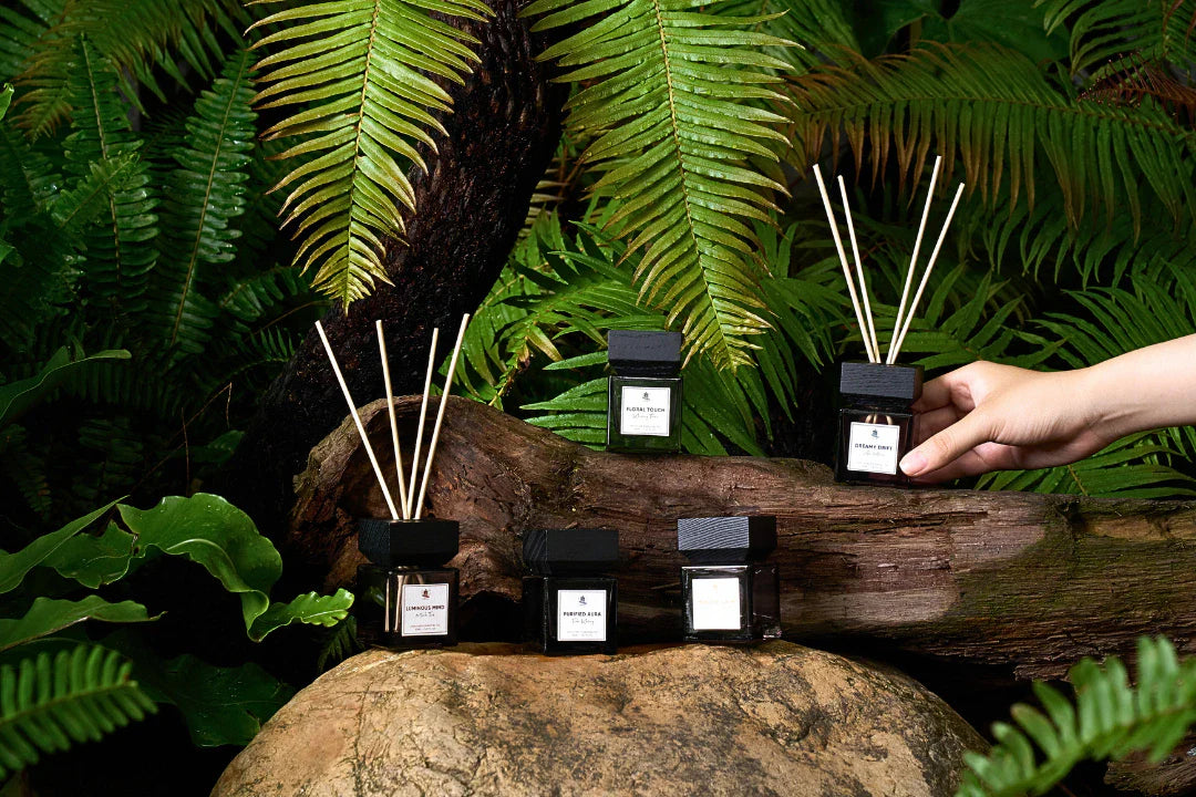 A collection of our best Reed diffuser essential oils