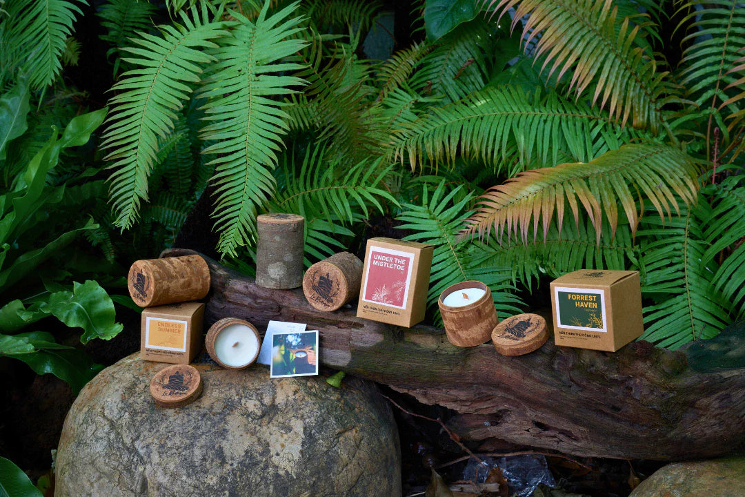 Natural Aromatherapy Candles Collection