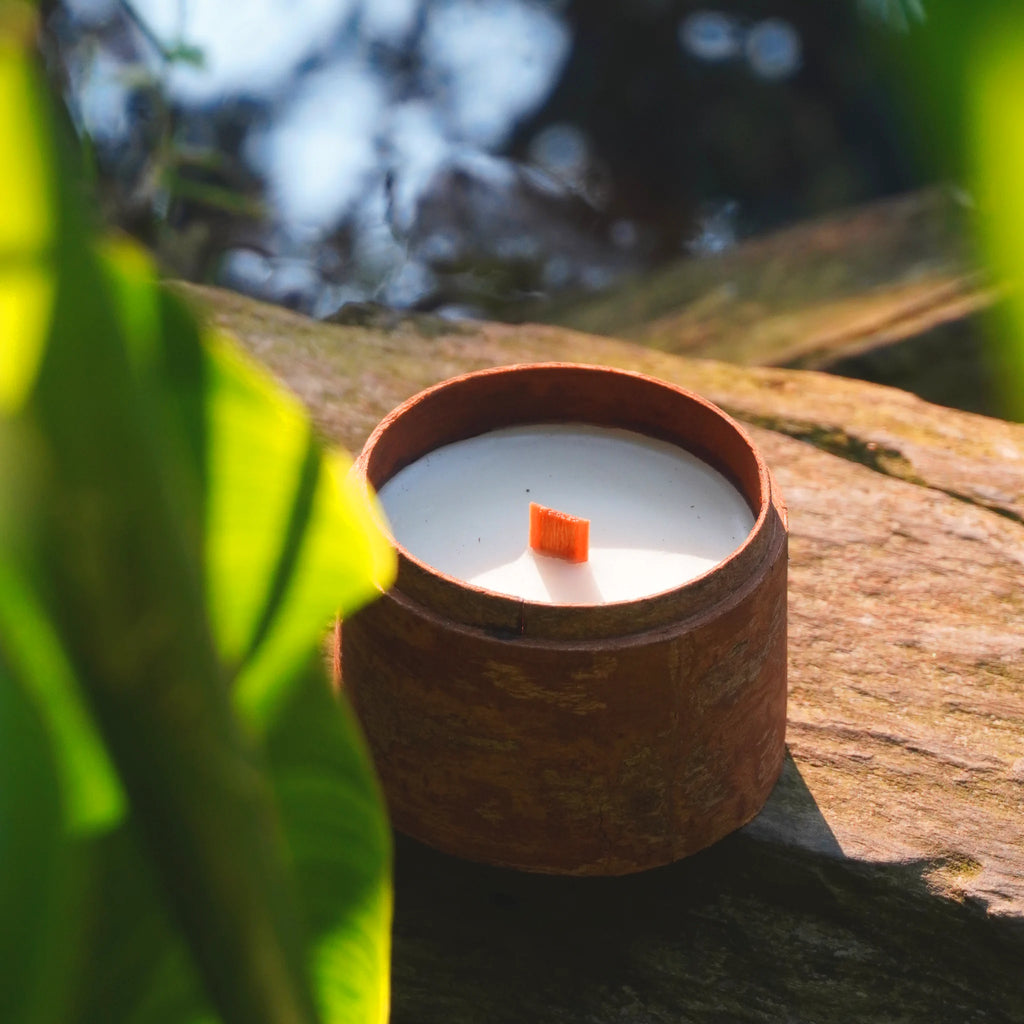 Candle in a wooden holder on a branch with green leaves in the foreground