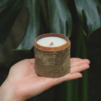 Hand holding a small candle in a textured brown holder against a green leafy background, wood jar candle holder