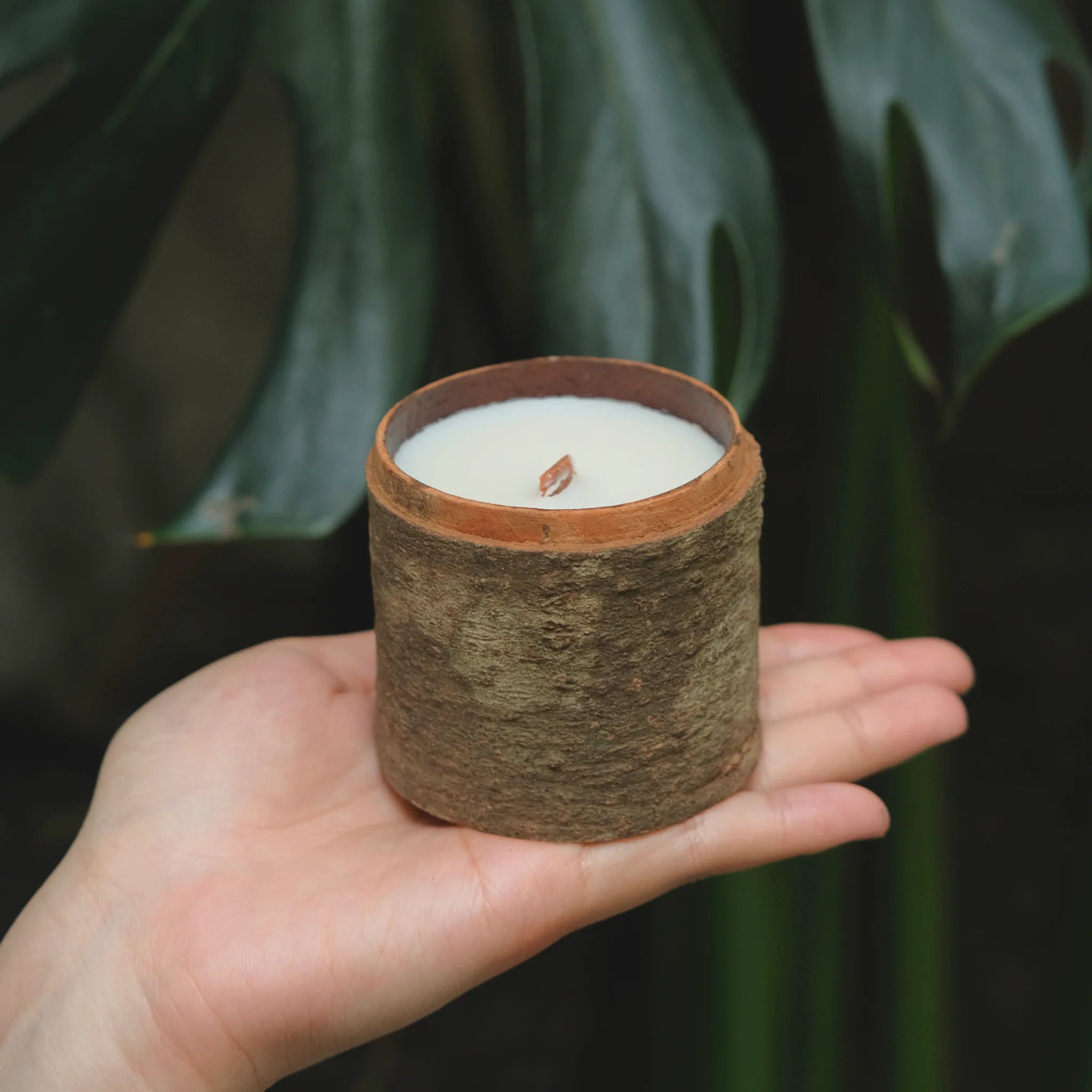 Hand holding a small candle in a textured brown holder against a green leafy background, wood jar candle holder