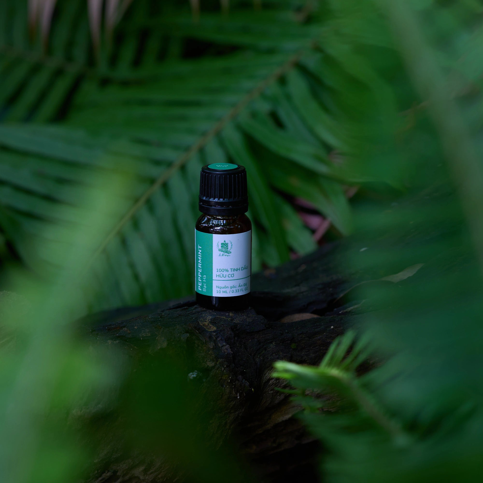 Organic Peppermint Essential Oil (India)